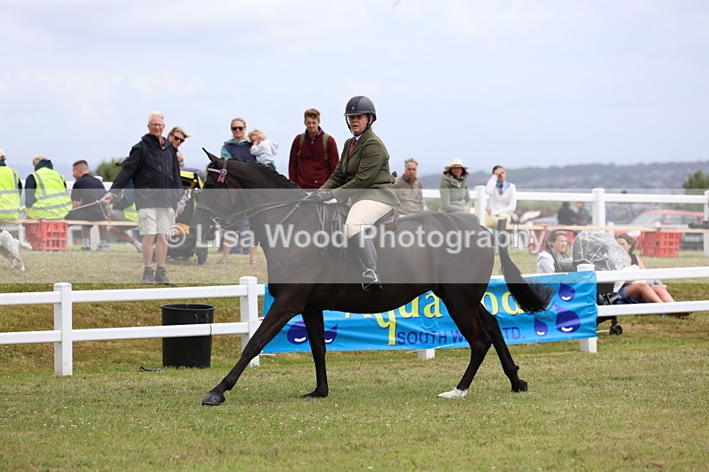 3E7A1039 - Class 8: Open Riding Horse/Hack