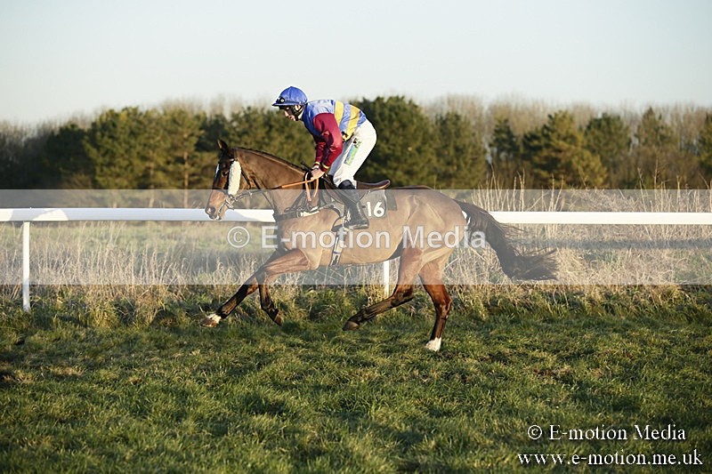 PtP 070118 -743 - Larkhill Racing Club Point to Point Larkhill 07/01/2018