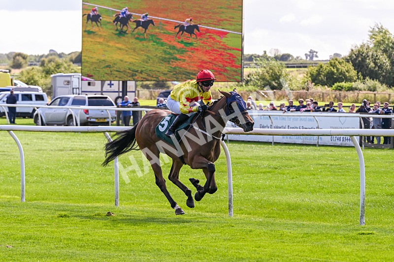 080926-Race 1-Cheeky Chesca-1568 - Race 1 1.53pm Racing To School Nursery Handicap