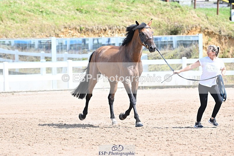 240717A-154322-03007 - Trot Up 3pm to 4pm