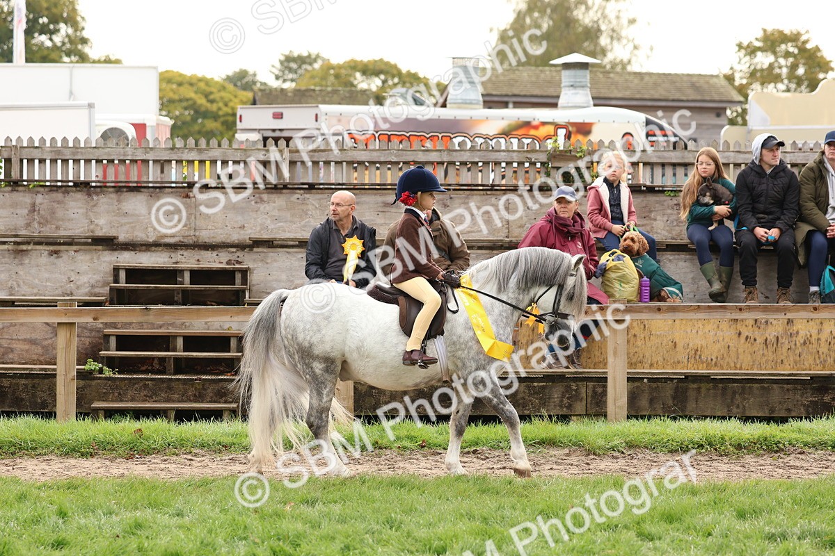 SBM_59750 - Start Supreme Championship