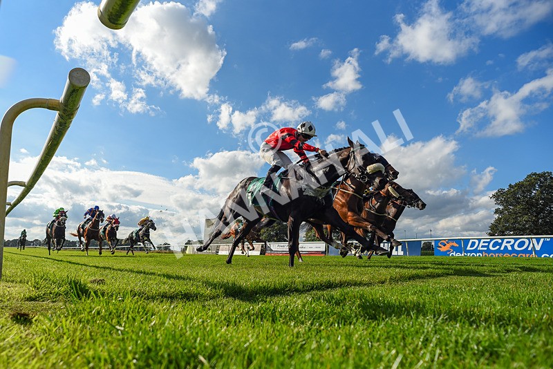 140926-Race 4-Lamlash Bay-7650 - Race 4 3.51pm Sapphire Selling Handicap