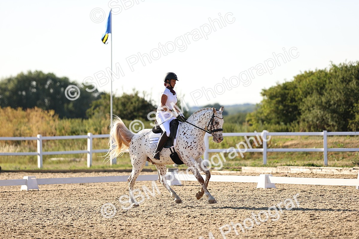 SBM_007818 - Elementary 4 - 17.07-18.22
