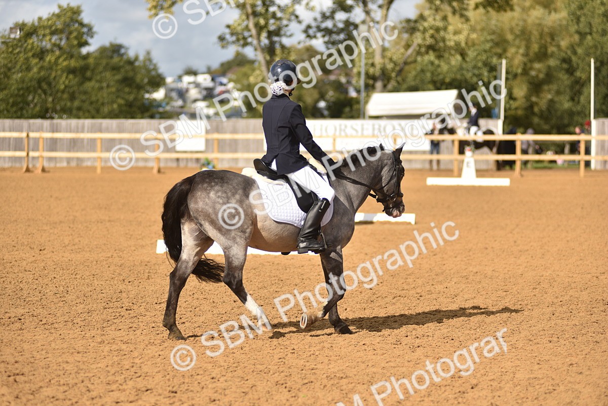 SBM_48810 - D22 - Junior Championship Intro 3