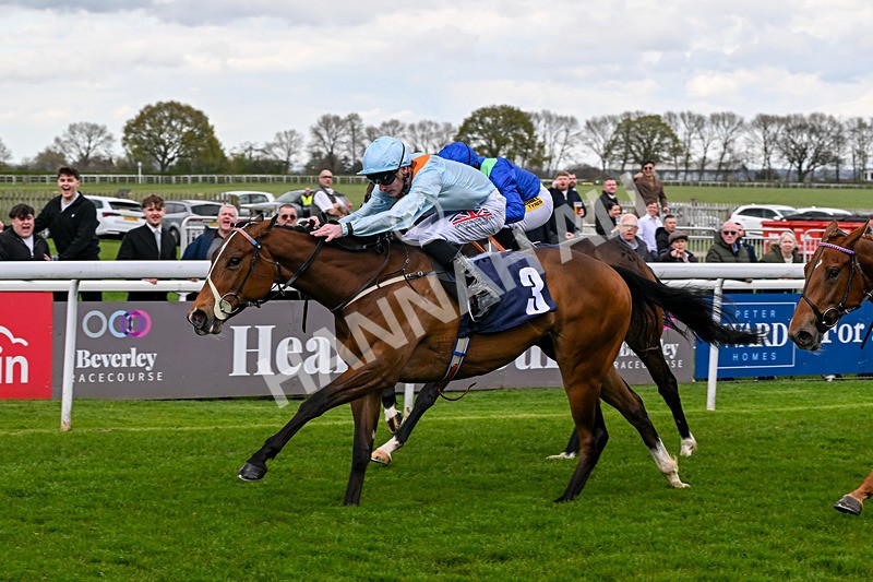 150426-Race 3-Bayside-6080 - Race 3