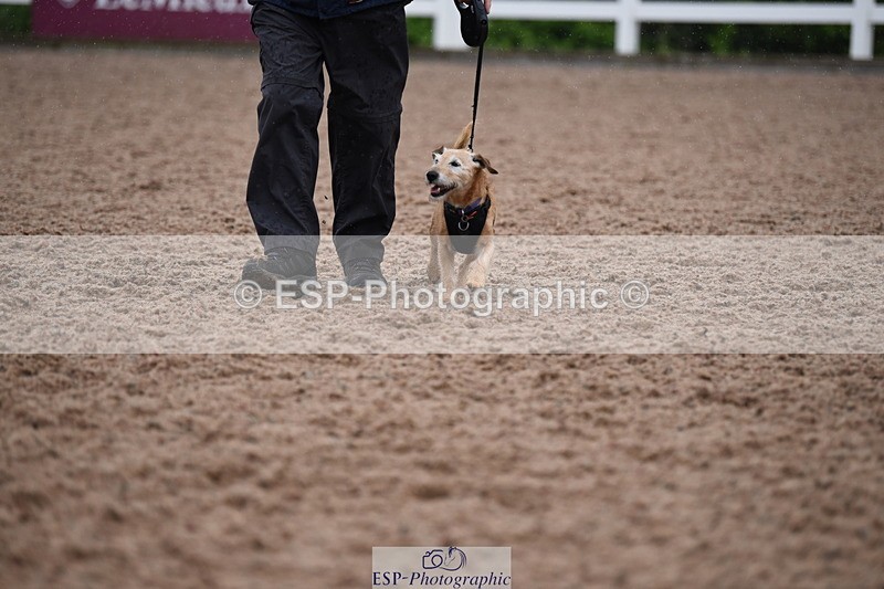 240518A-130130-01240 - Cls 6 Best Veteran