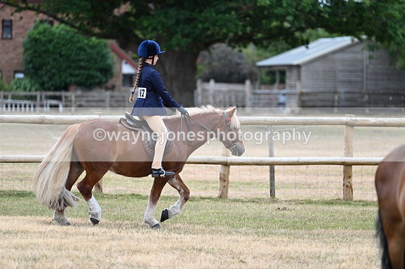 WJ7_0424 - Class 2 Best rider