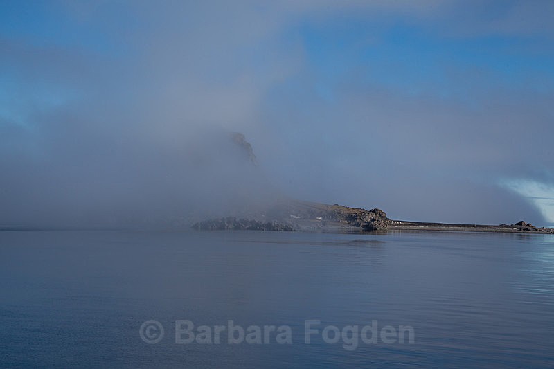 Karl XII øya  7057 - Trip with MS Expedition August 2016