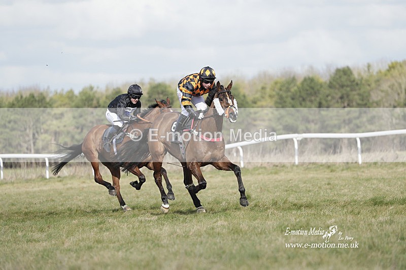 PtP 260223 447 - South & West Wilts Point-to-Point Larkhill 26/02/23
