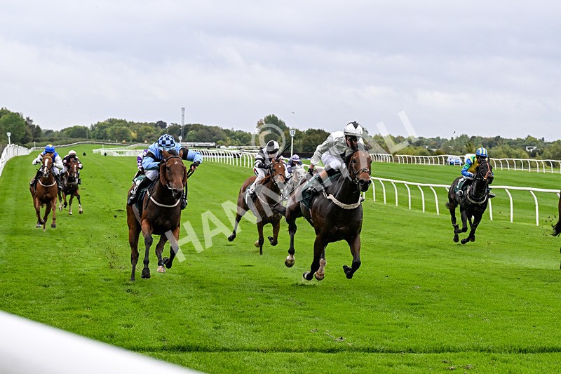 011025-Race 1-Edgewater Drive-0042 - Race 1