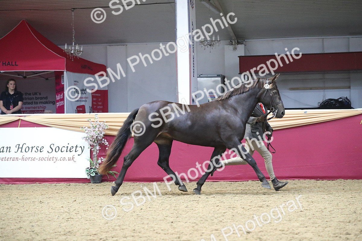 SBM_15157 - Class 501 M&M IH Supreme Final