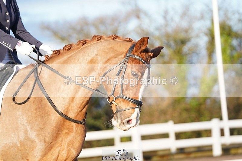 241214-103358-00204 - 120-Caitlin.Burgess-SUPERMANJAM