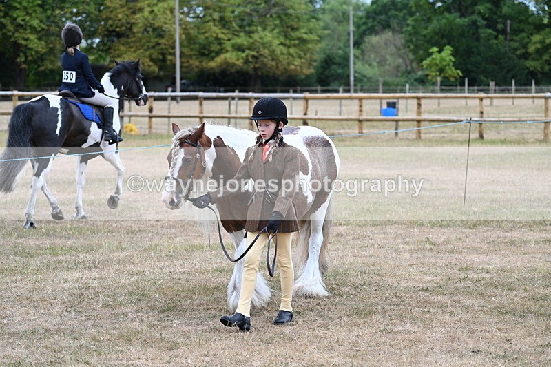 WJ7_8014 - Class 4 Prettiest Mare up to 14.2hh