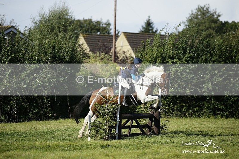  WWHT 031021 1226 - Open Novice (0.80m) 03/10/21