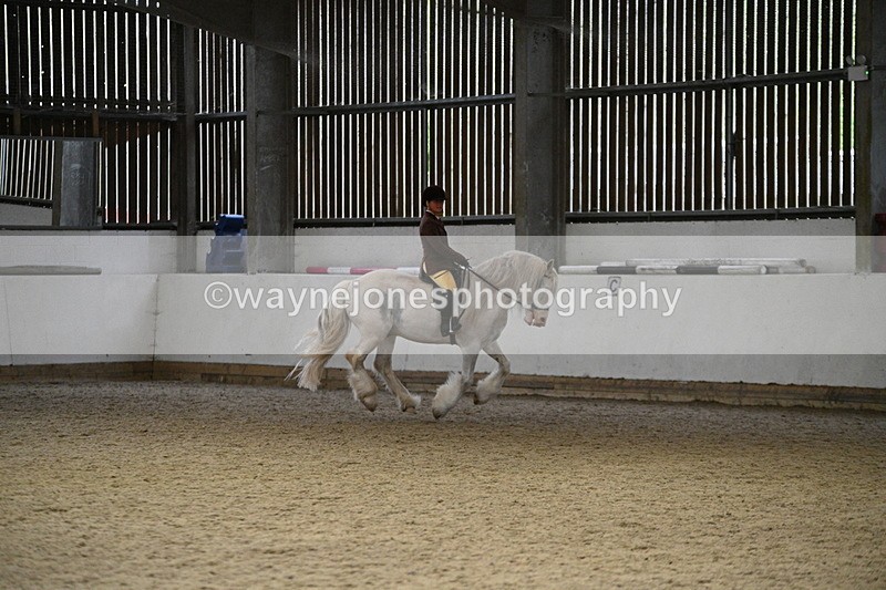 WJ7_3748 - Class 16 Ridden Coloured/ Odd Coloured