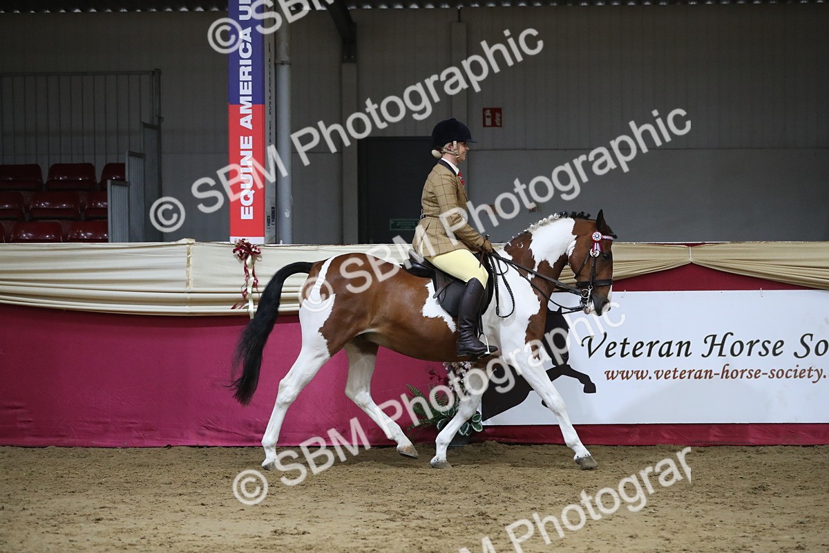SBM_08495 - Class 11R Regional Ridden Veteran