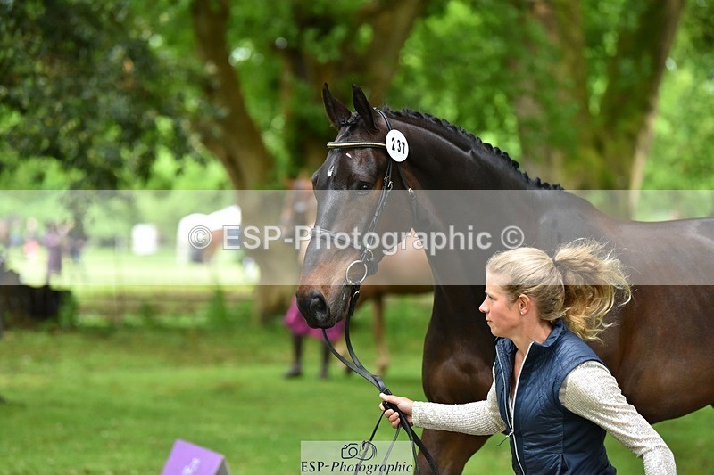 240522-170414-01363 - 237-UNDERDOG_Z-Izzy_Taylor