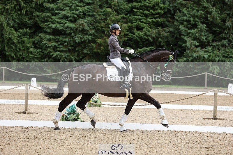 240810-132107-03308 - Medium Gold