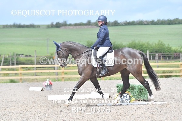 BPP_0376 - NOVICE 6