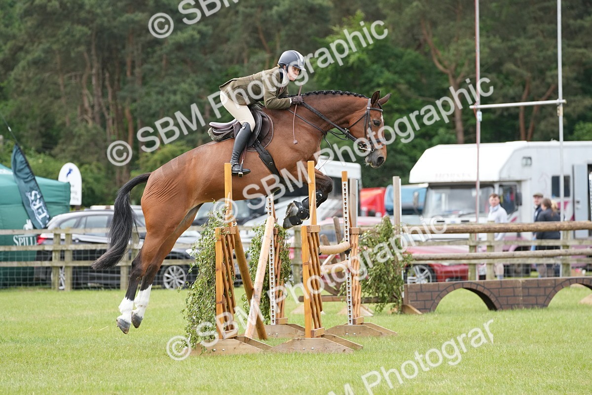 SBM_14953 - Class 100-102 - RIHS Working Hunter