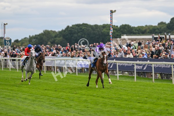 210825-Race 4-Minnie Hauk-4684 - Race 4 3.35pm Pertemps Network Yorkshire Oaks