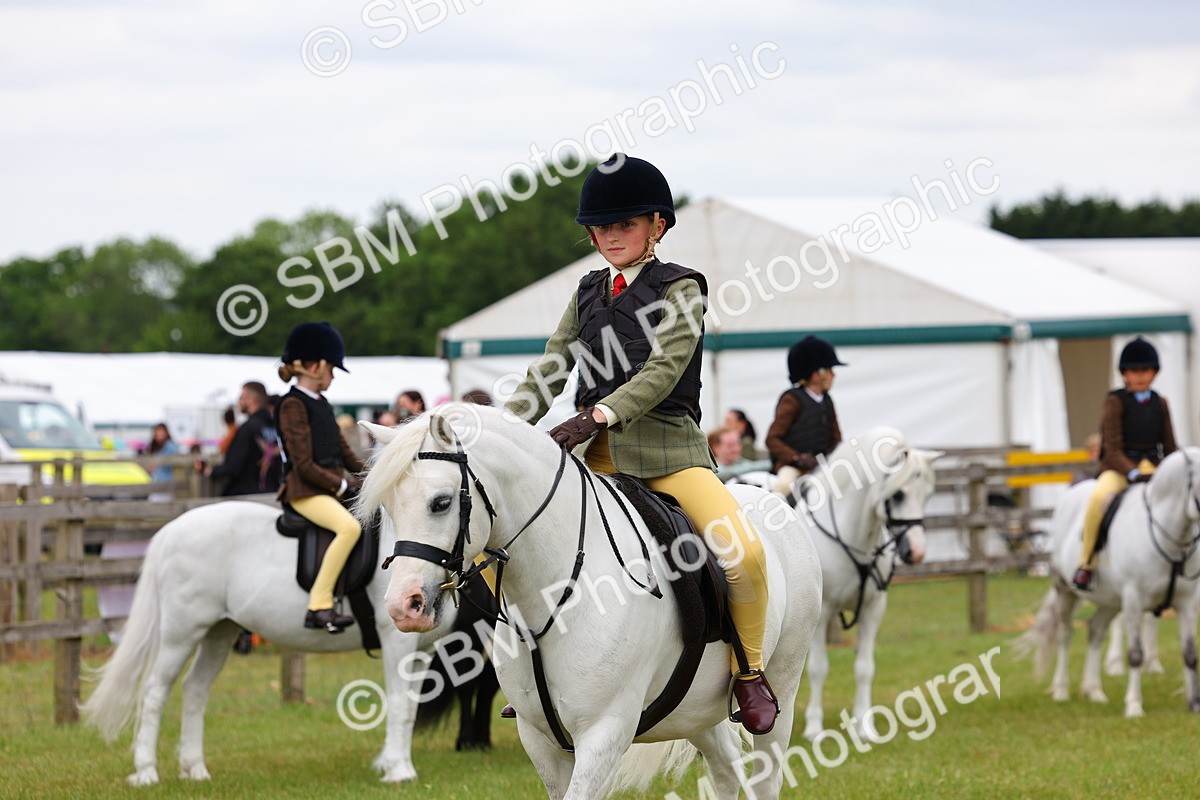 SBM_08753 - Class 42-43 - LIHS BSPS Heritage Working Sports Pony