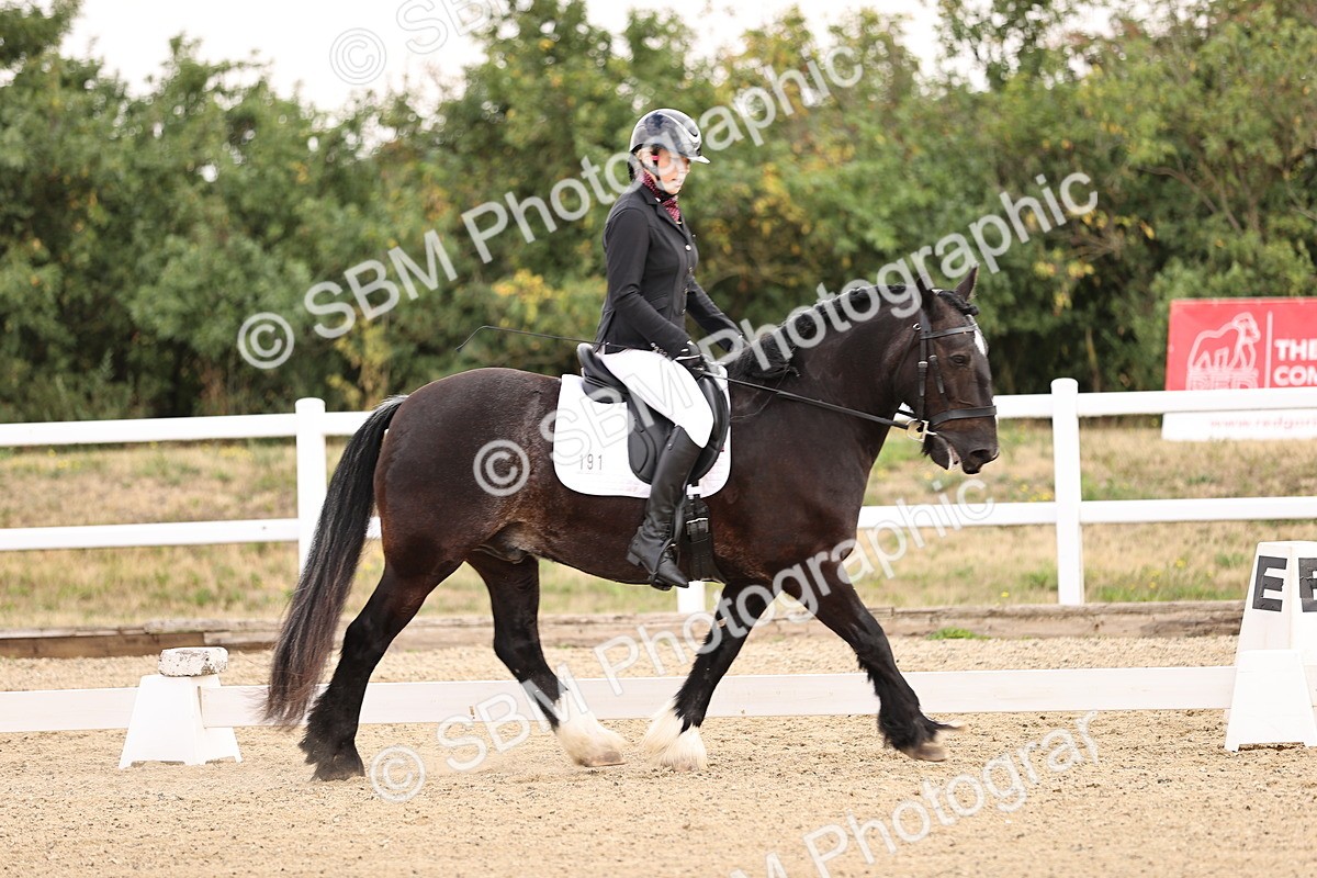 SBM_005204 - Intro 3 - 8.30-9.30