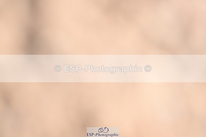 240622A-090914-06717 - Cls 23 BD Prelim 19