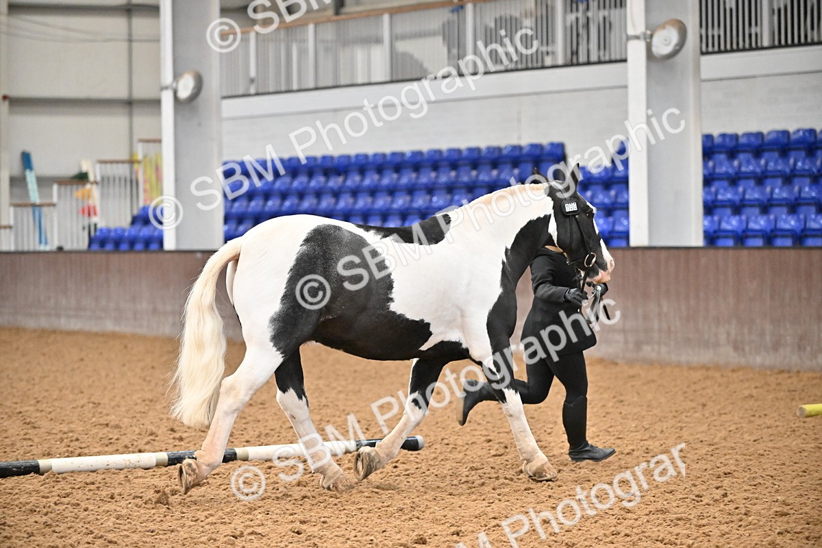 SBM_000009 - Class 1 - In Hand Cob