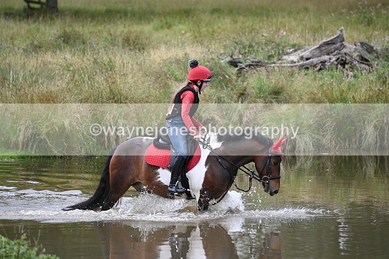 WJ7_4982 - Time at Water 14:00 to 14:53