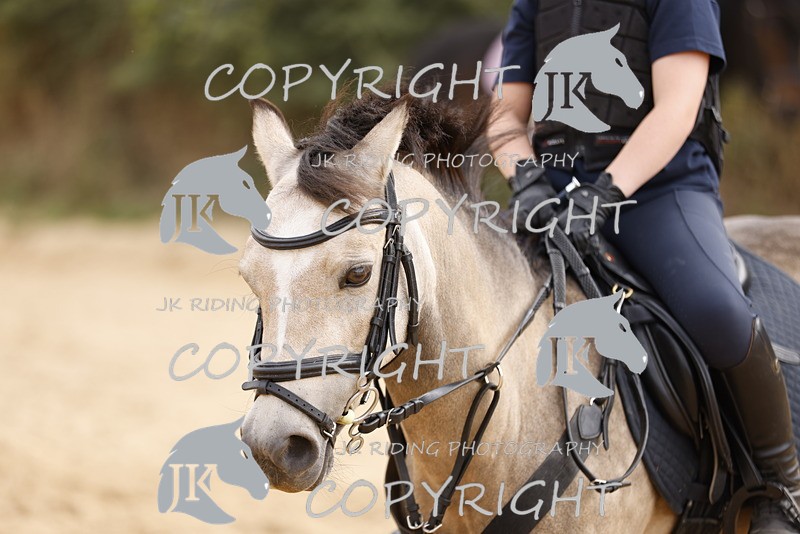 _R6A0927 - Sand arena