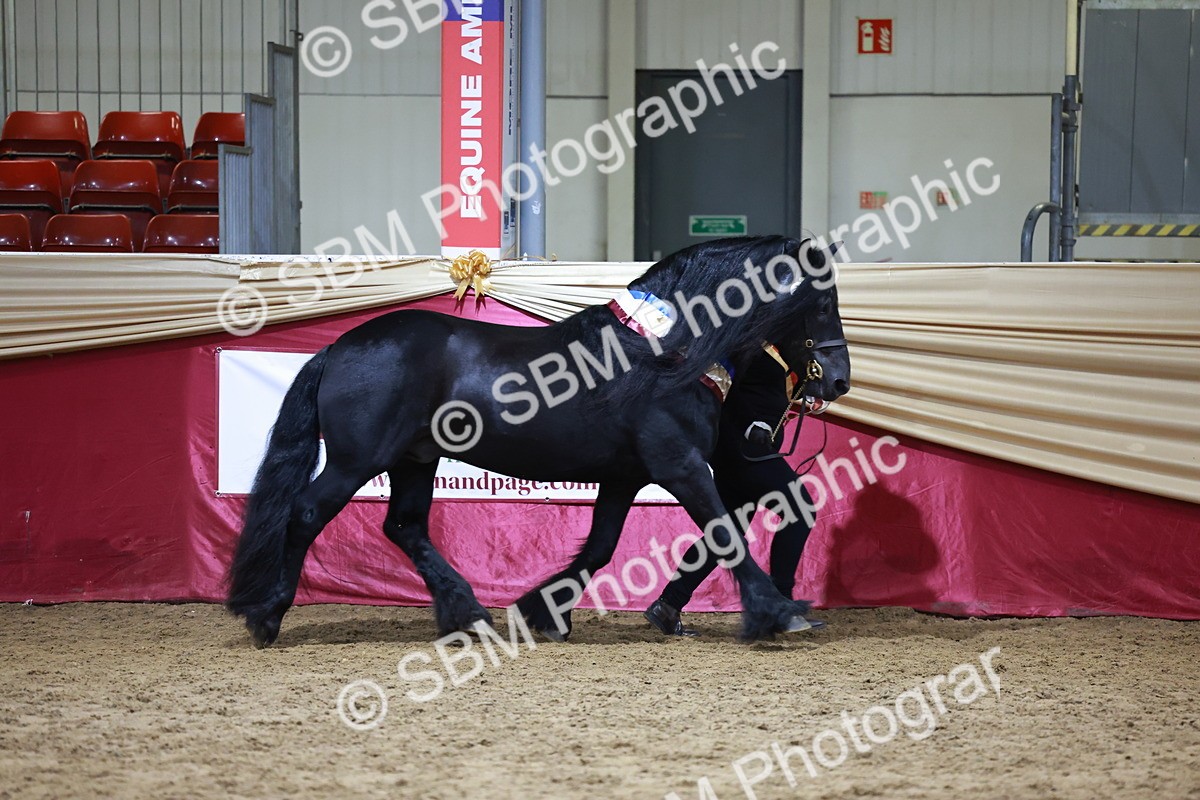 SBM_20433 - Class F - IH Small (148cm & Under)Champ
