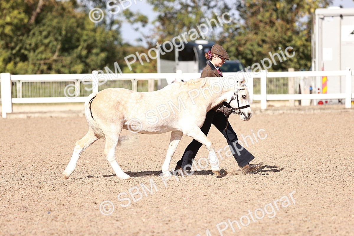 SBM_22866 - Class 706 - IH Veteran