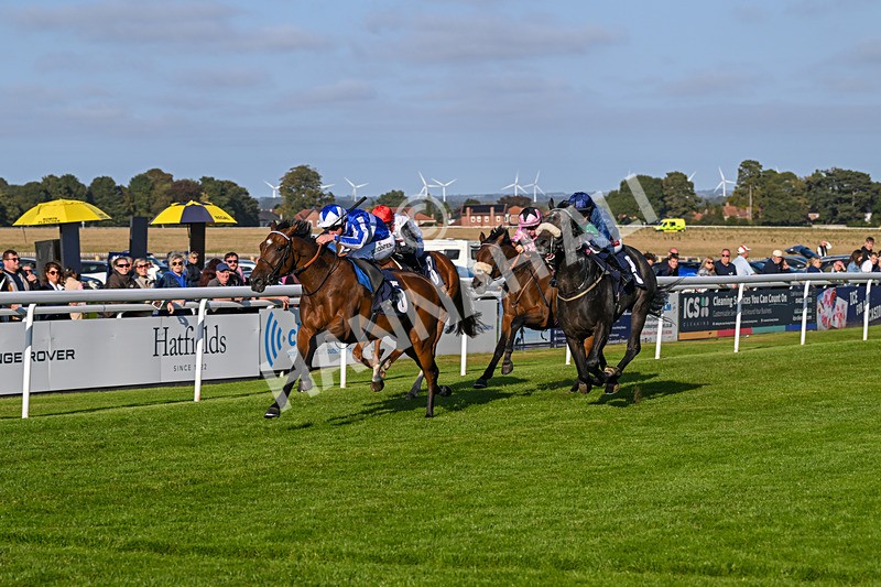 180924-Race 7-Fox Avatar-5235 - Race 7