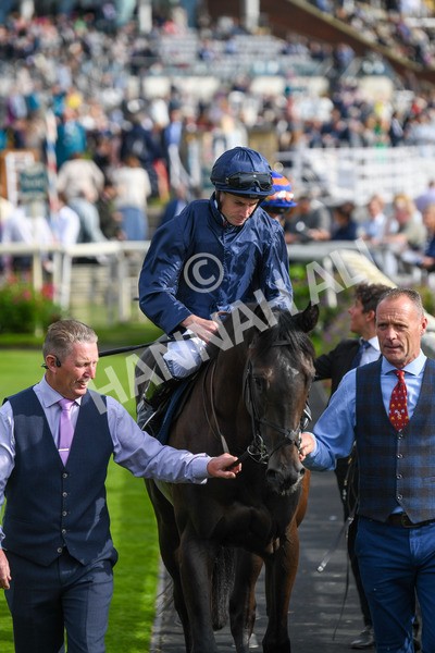 250823-Race 6-Battle Cry-0986 - Race 6 4.45pm British EBF 40th Anniversary Convivial Maiden Stakes