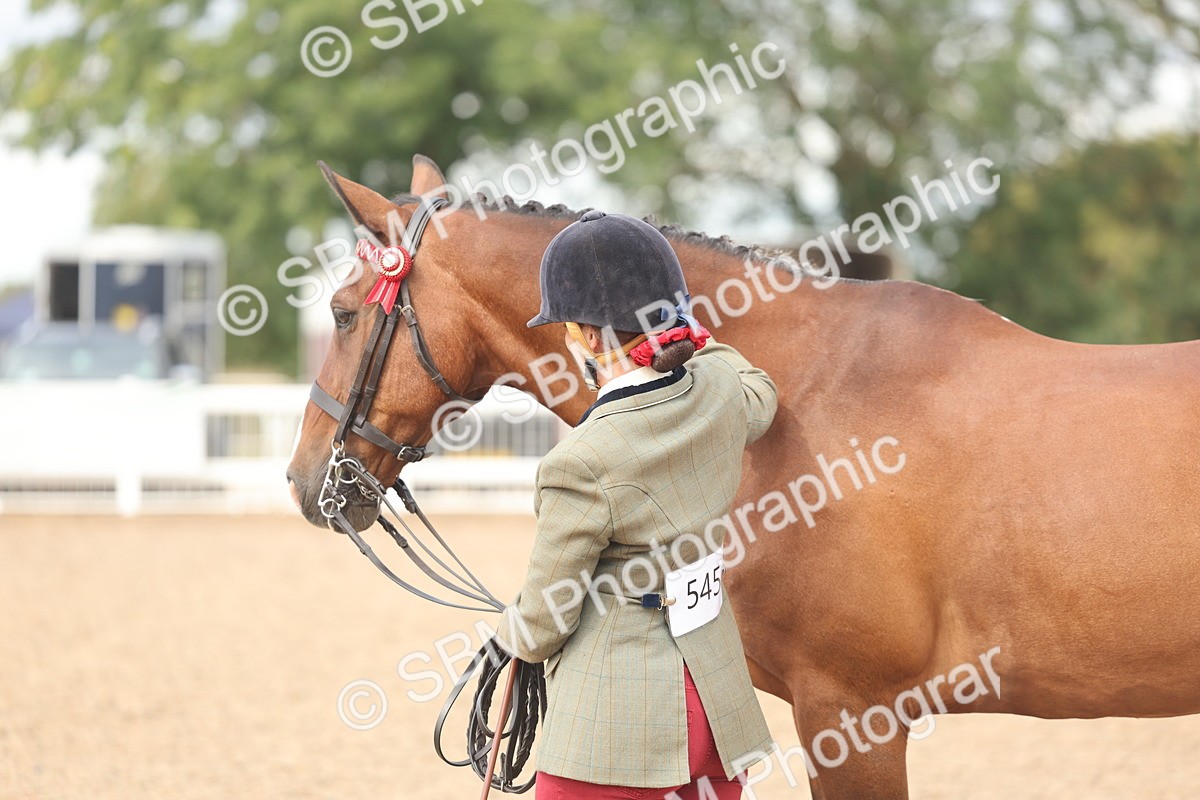 SBM_04488 - Class 18 - Handsomest Gelding (IH or Ridden)