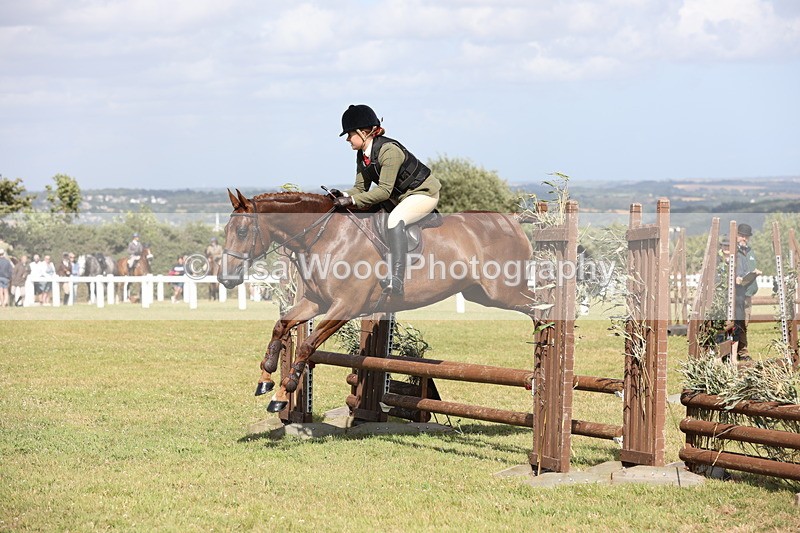 JPP_2546 - Class 20: Working Hunter 70cm