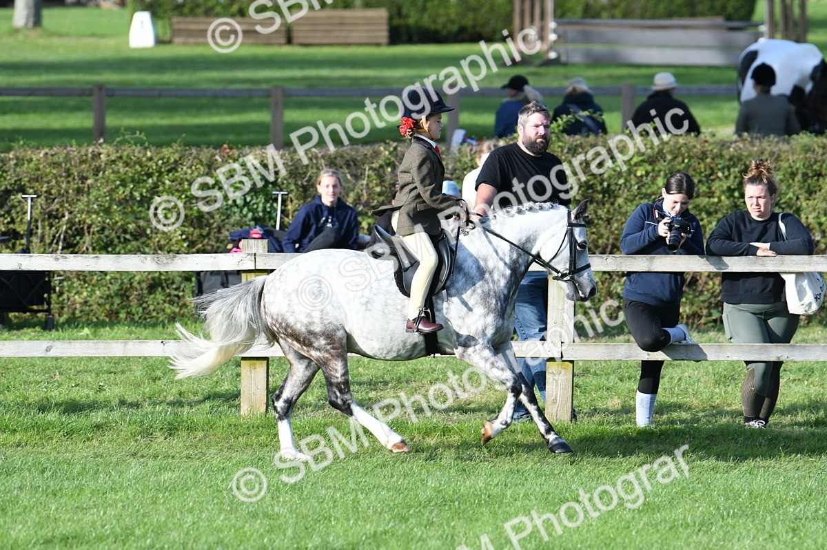 SBM_52419 - S22 - 1st Ridden Show & Show Hunter Pony