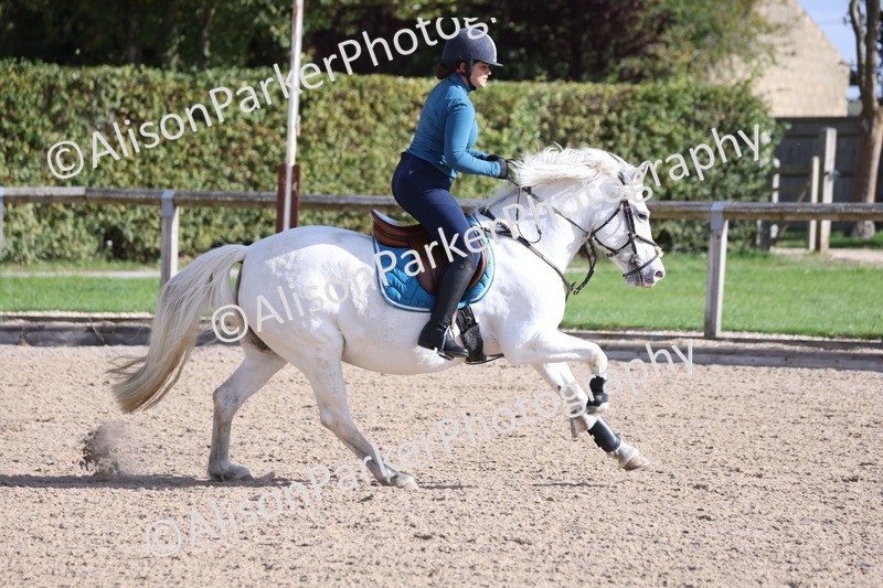 20251005-0331 - Class 3 - 60cm