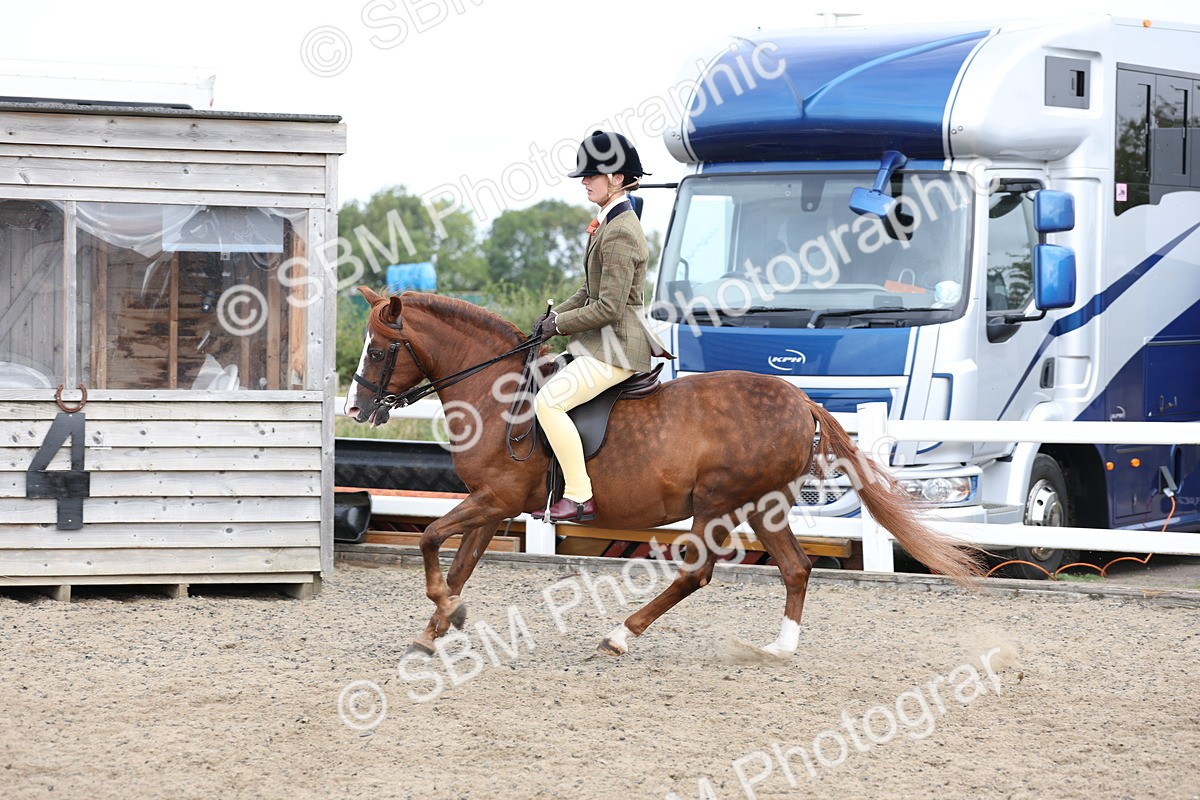 SBM_01499 - Class 52 - Ridden Veteran