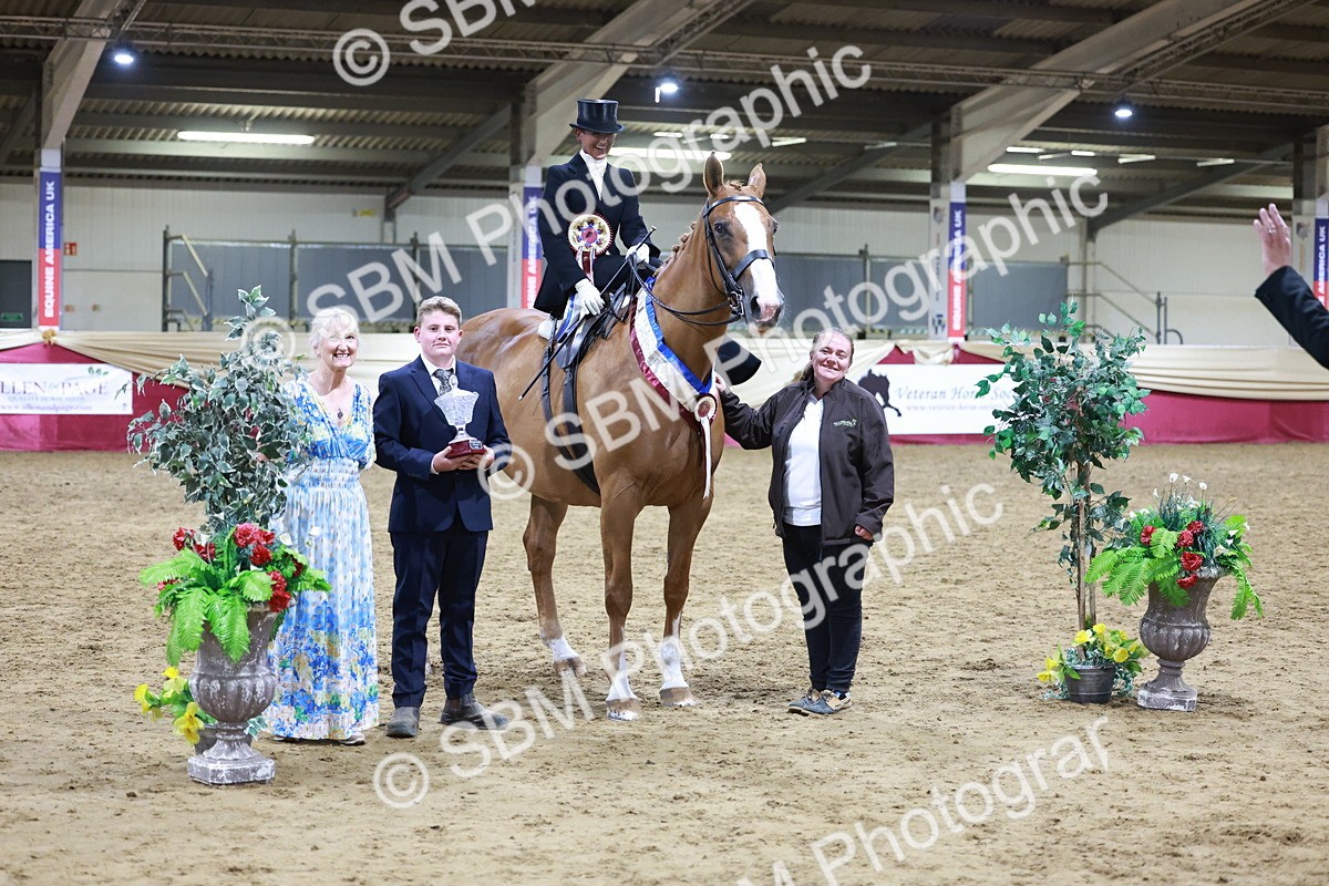 SBM_20964 - Class N - Side Saddle Champ