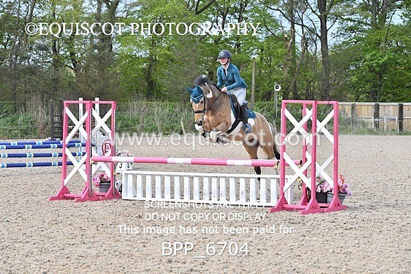 BPP_6704 - CLASS 2 FRI Club/ Unaffiliated 80cms Open