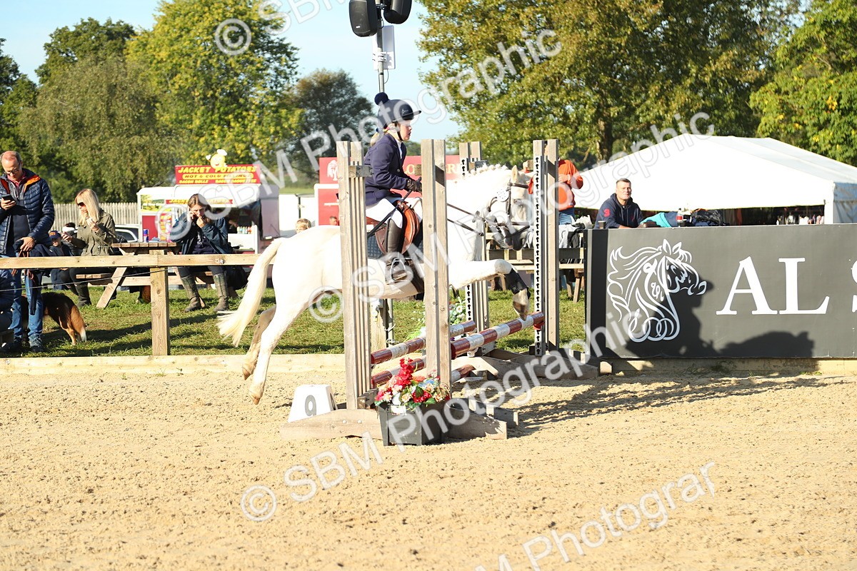 SBM_35050 - J5 - Junior Pony 50cm Championship