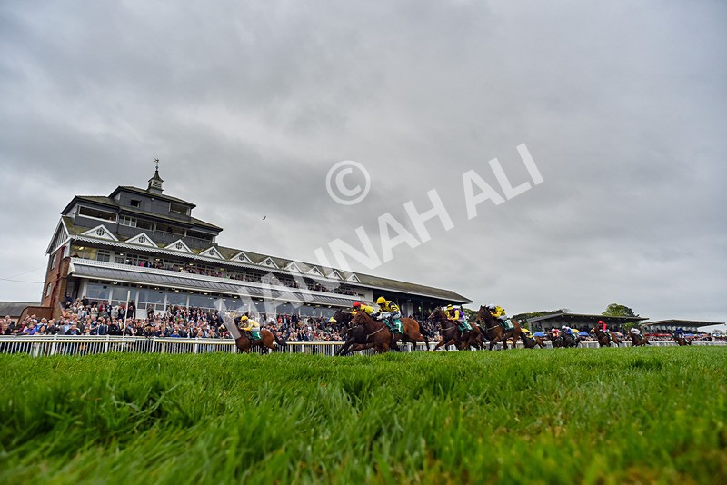 040524-Race 2-Wobwobwob-4329 - Race 2