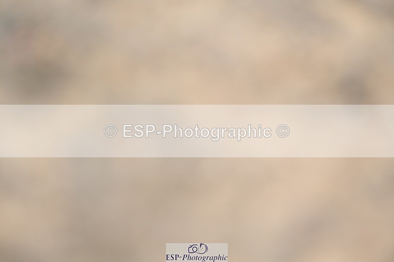 230811-115725-01131 - Cls 4 Adv Medium Silver