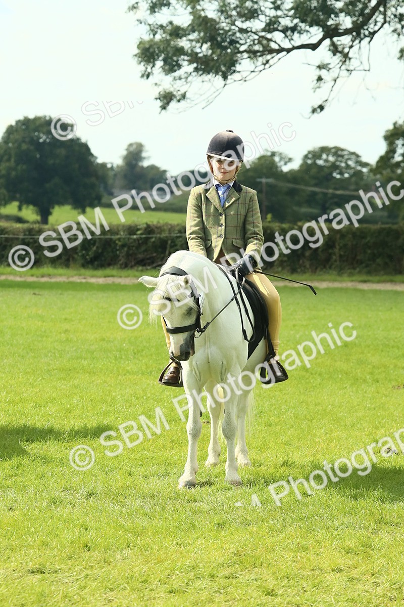 SBM_66423 - S34 - Rehabilitated Rescue Horse & Pony In Hand & Ridden