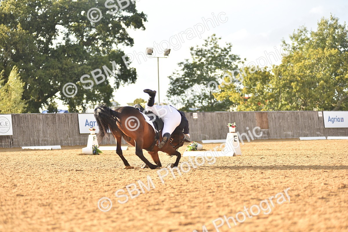 SBM_29797 - D16 -Small Tour Championship Novice 2