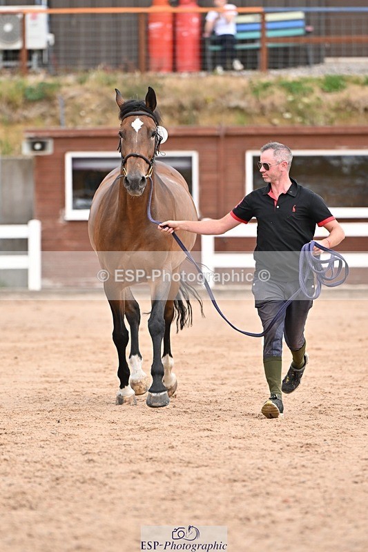 250716-151717-01842 - Trot Up 2.30 to 3.30