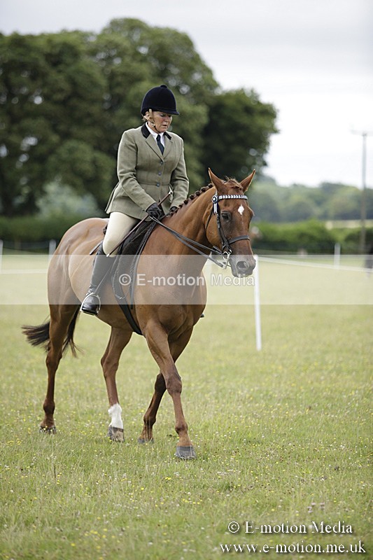 BVR160717-452 - Ring 1 BVRC Show 16/07/17