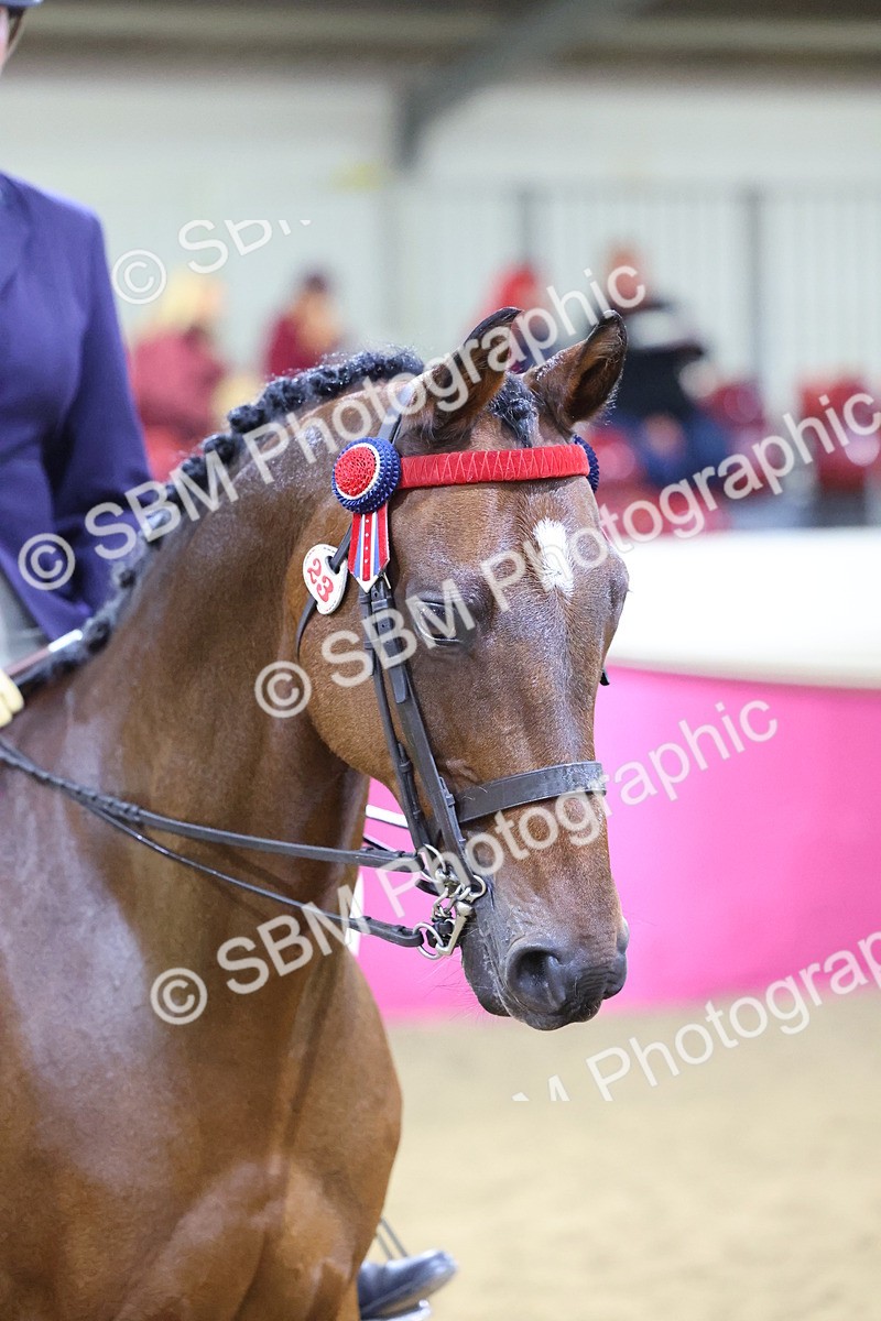 SBM_19008 - Class G Ridden Pony Champ